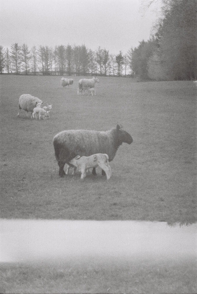 Lancashire 26