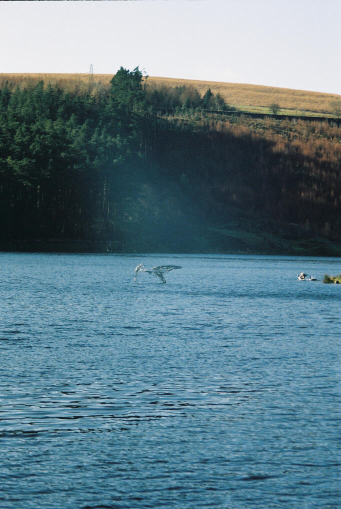 Lancashire 26