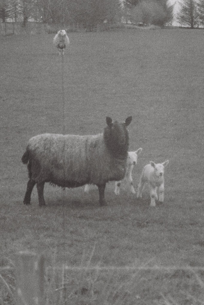 Lancashire 26
